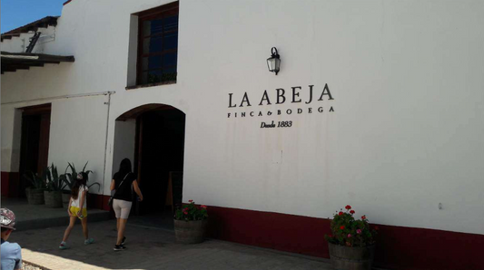 Ruta del Vino - San Rafael (10 Great bodegas to visit while you’re there)