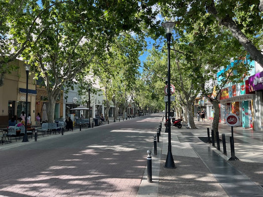 The splendid city of San Rafael, Mendoza.