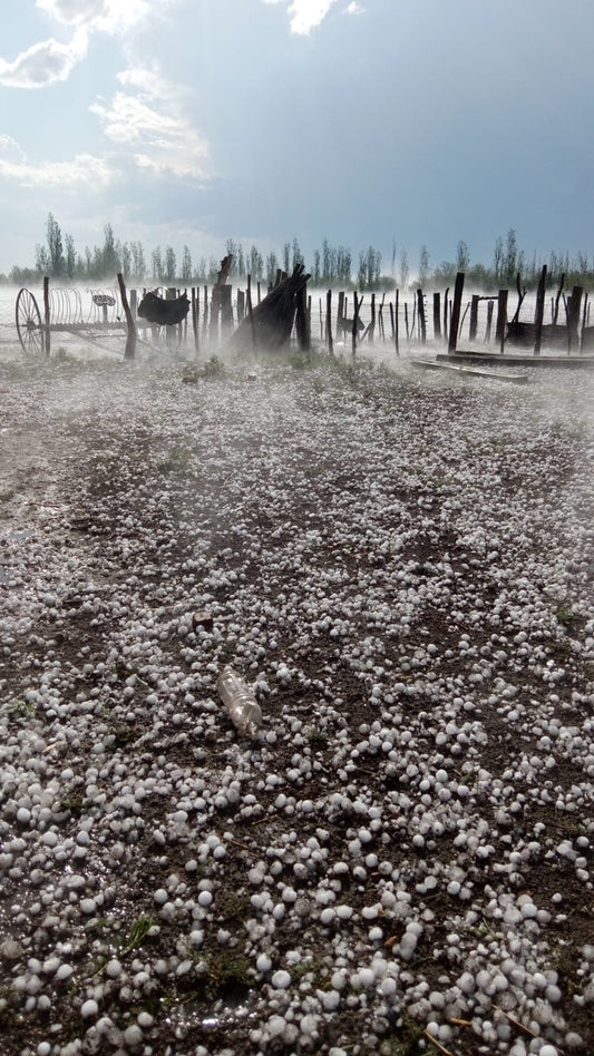 Monte Coman just got hit with a gnarly hail storm.