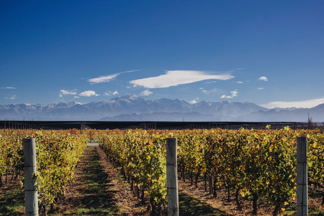 Seasonal Living in Argentina