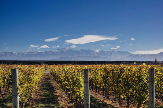 Seasonal Living in Argentina