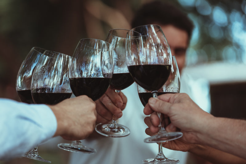 2020 Unoaked Malbec