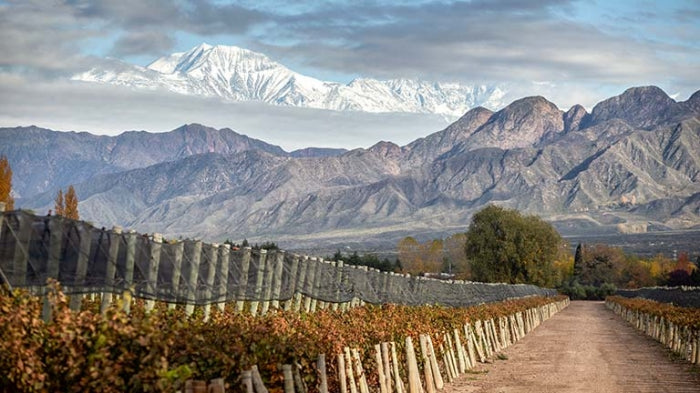 2024 Nine Queens Malbec