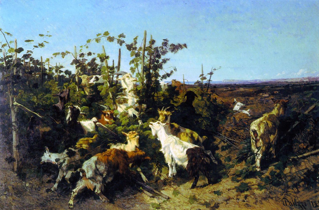 Goats browsing among grapevines in a nineteenth-century pastoral painting.