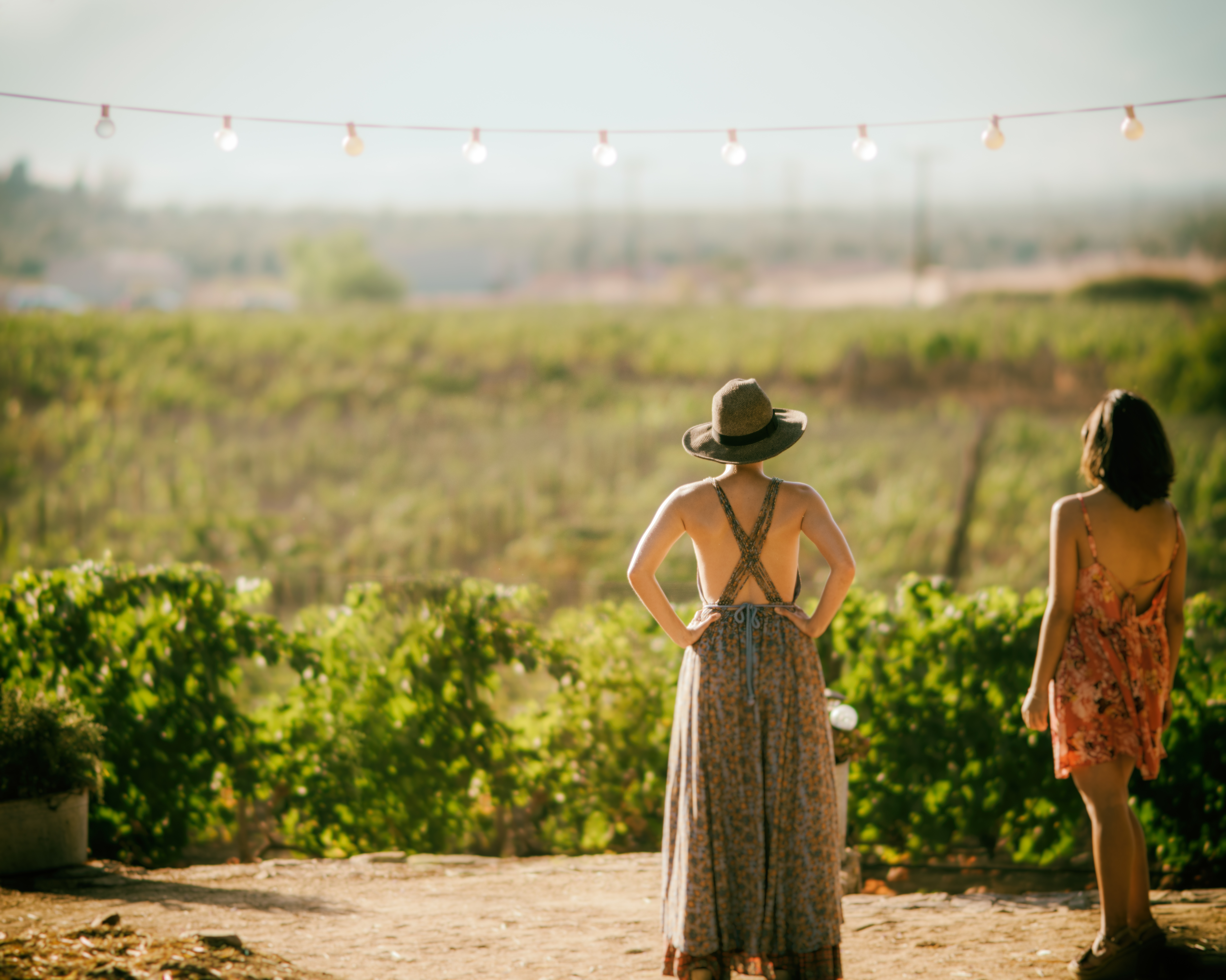 Two visitors overlooking sunlit vineyard rows beneath a string of lights.