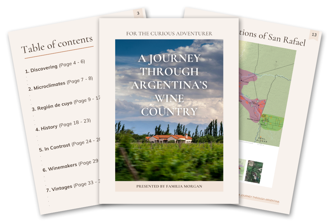 37-Page Guide to Argentine Wine