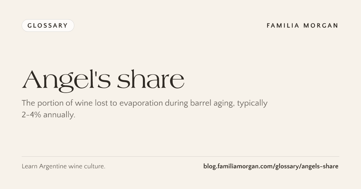 Angel's share: meaning in wine – Familia Morgan Wine