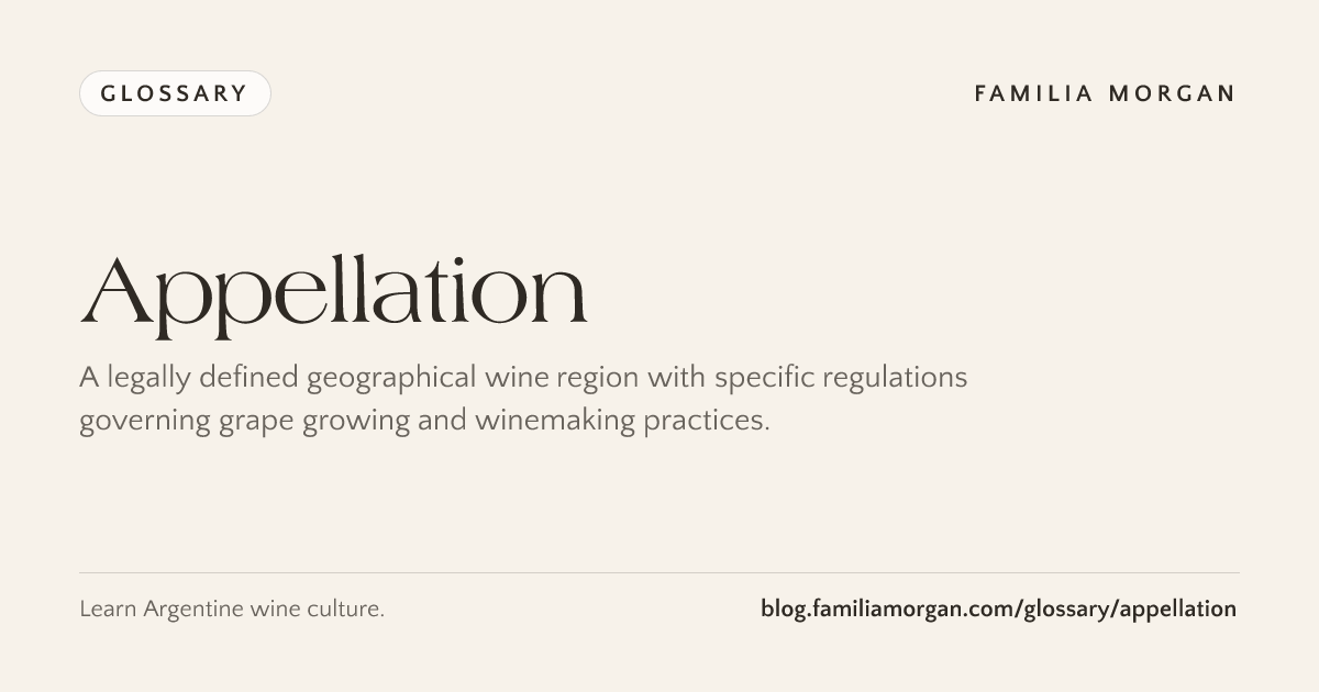 Appellation: meaning in wine – Familia Morgan Wine